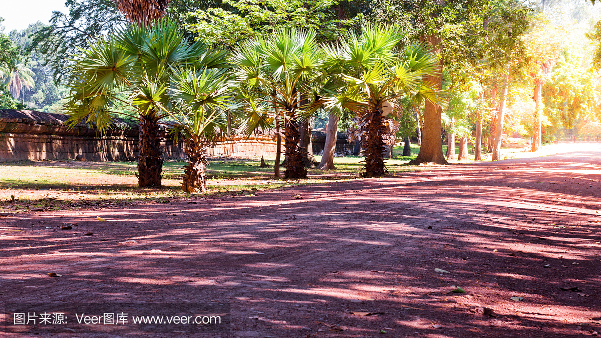 穿过城堡旁边的柬埔寨丛林的土路。暹粒,柬埔