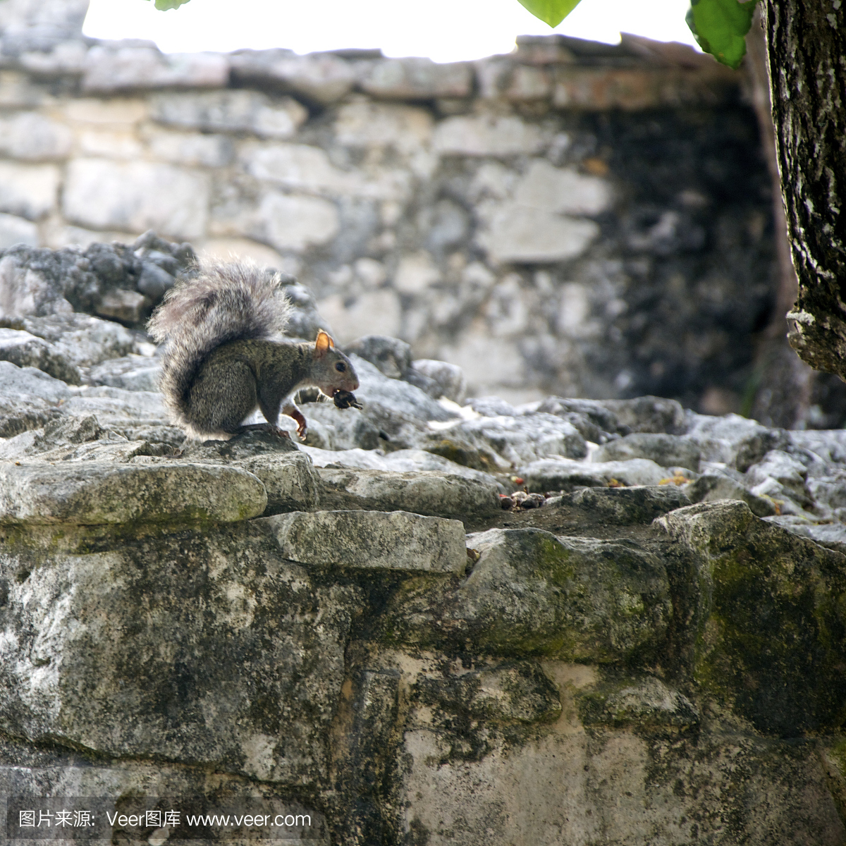 摄影,马雅里维耶拉,无人,图伦