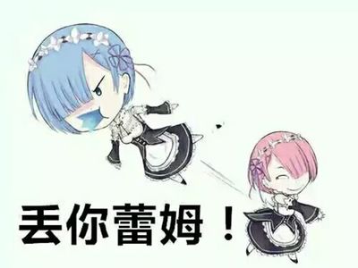 从零开始的异世界生活 拉姆蕾姆 表情包…-38kb