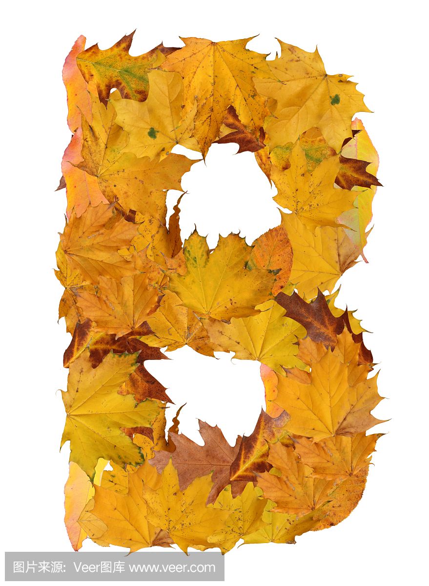 收集,文字,英文字母B,符号