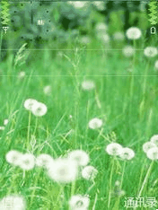 176_234 gif 动态图 动图