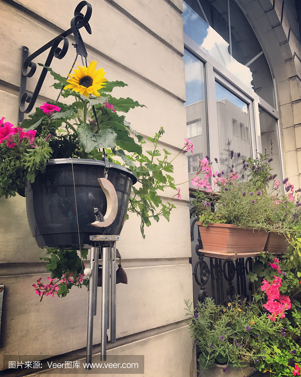 窗户装饰着比利时布鲁塞尔的鲜花