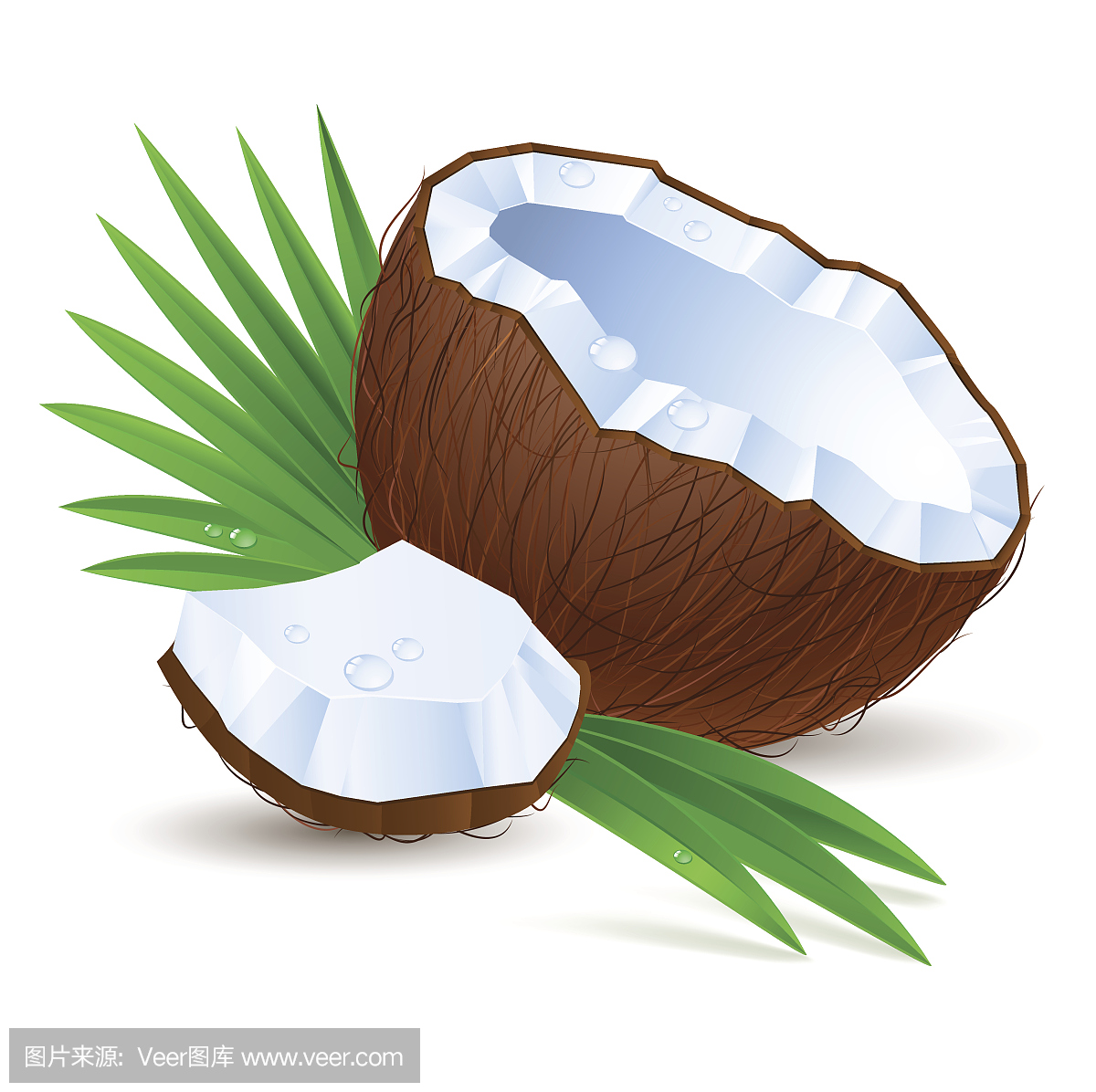 劈腿,腿分开,劈叉,一字腿