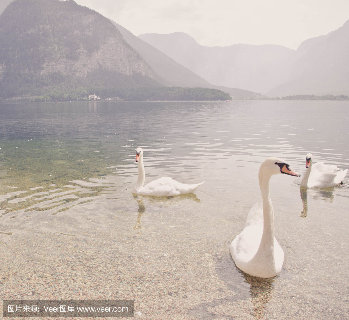 哈尔施塔特湖,哈尔斯达特湖,哈修达特糊,哈尔斯塔特湖