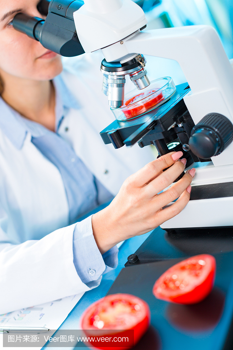 检查水果和蔬菜的有害元素。食品质量检验实验