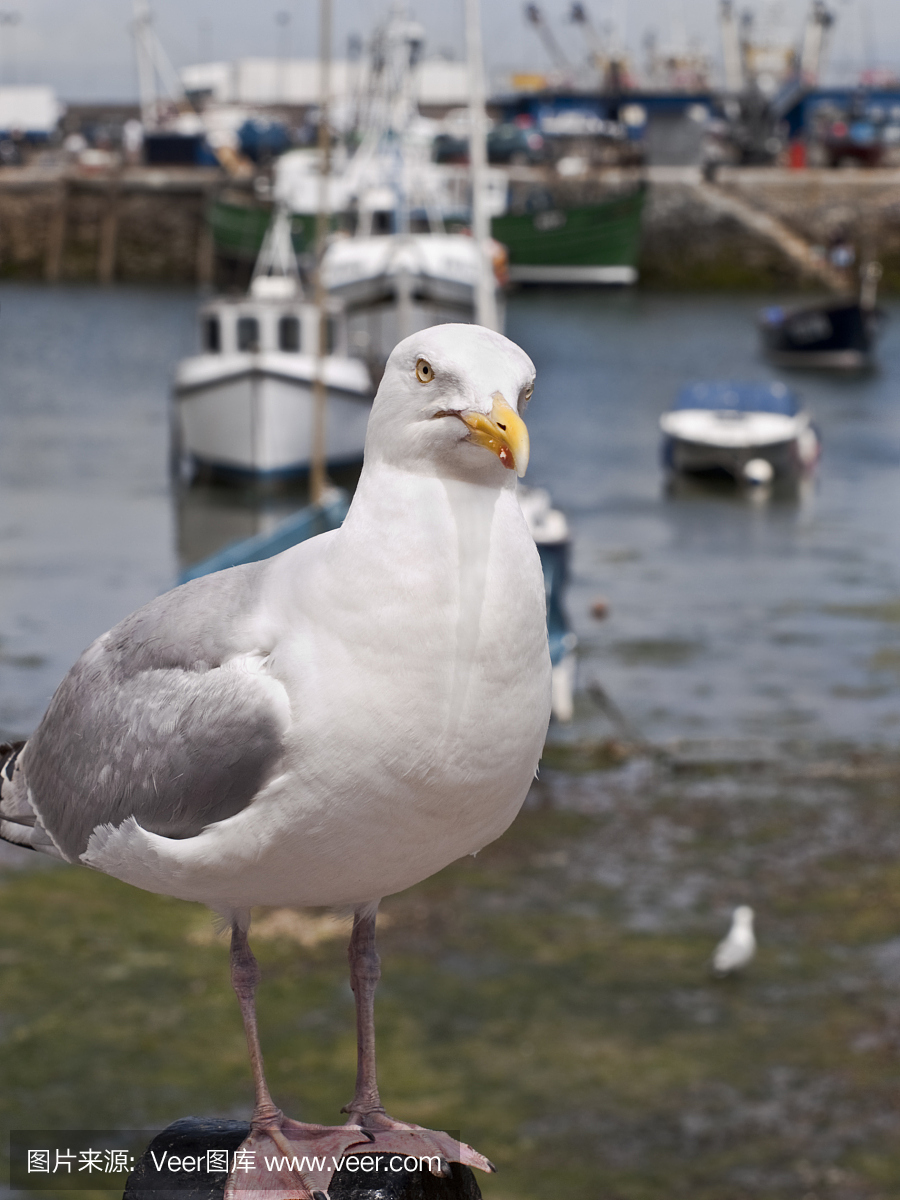 布里克瑟姆,布力罕,布立克罕,英国布里克瑟姆市