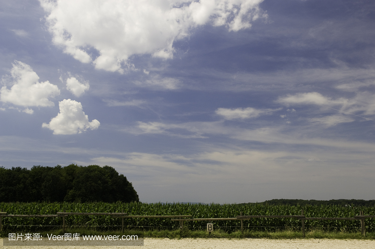 印第安玉米,印第安玉蜀黍,印第安包谷,英文字母