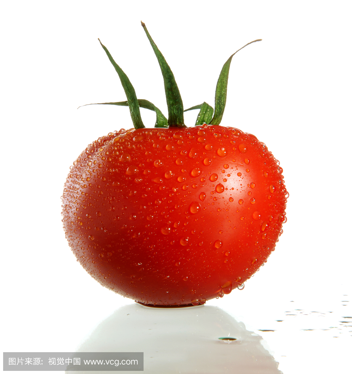 西红柿,蕃茄,番茄,商品