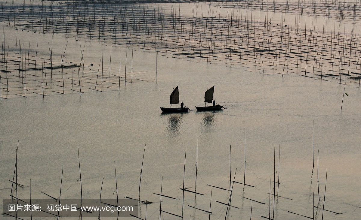 船在水中航行。