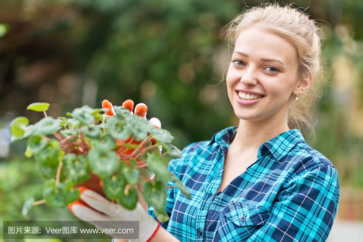 植物苗圃,育苗场,育苗基地,园圃
