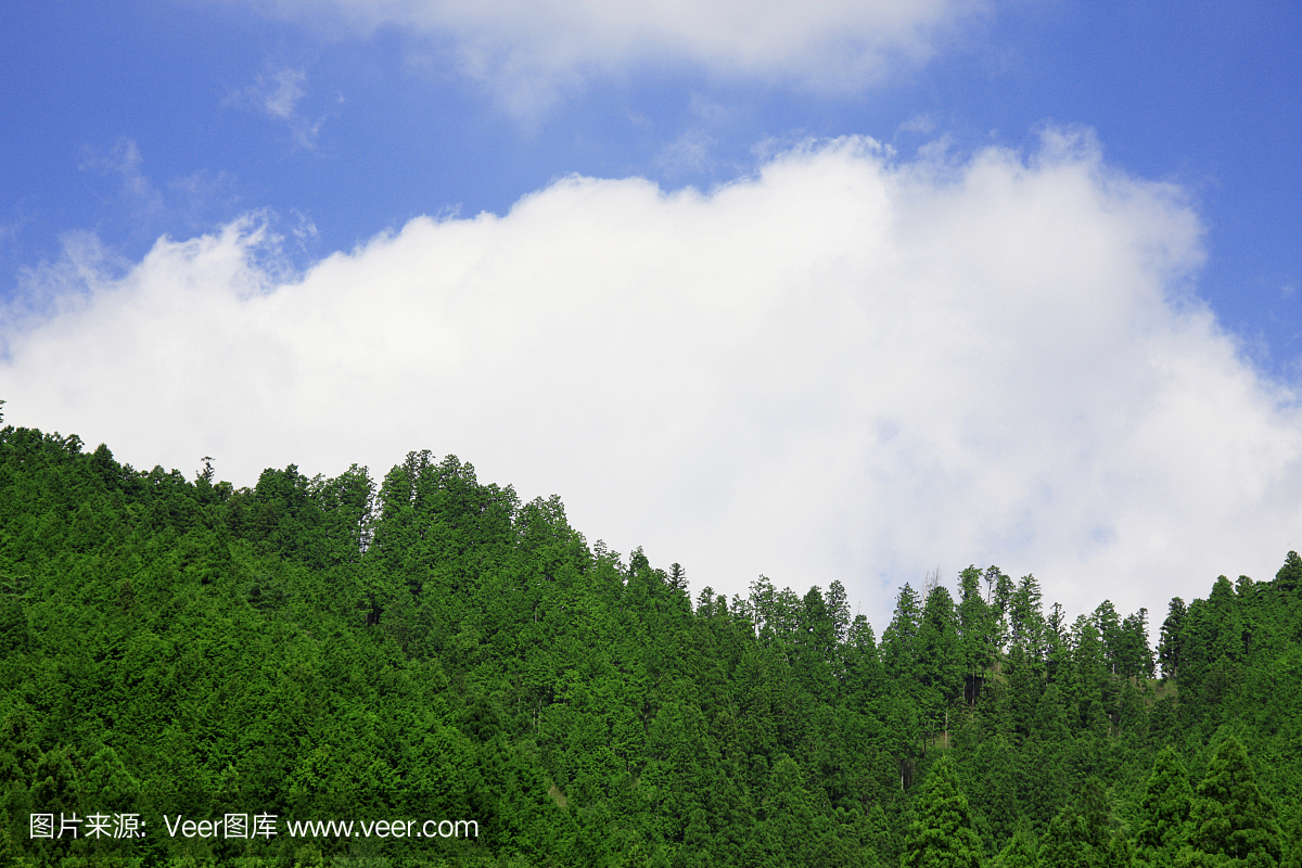 高野山,高野小羊,和歌山县,和歌山区小灰兔大灰狼吃大山图片