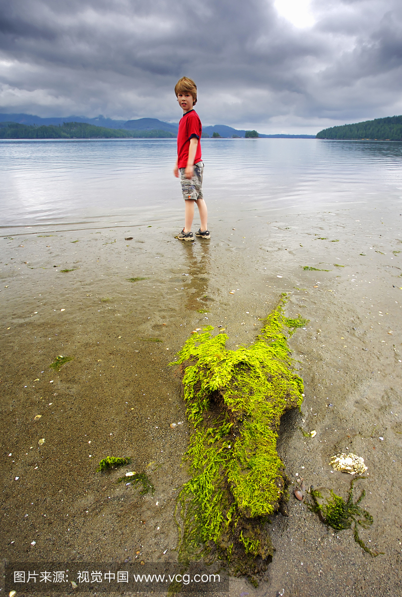 年轻的男孩站在海滩,巴克利声音,温哥华岛,不列