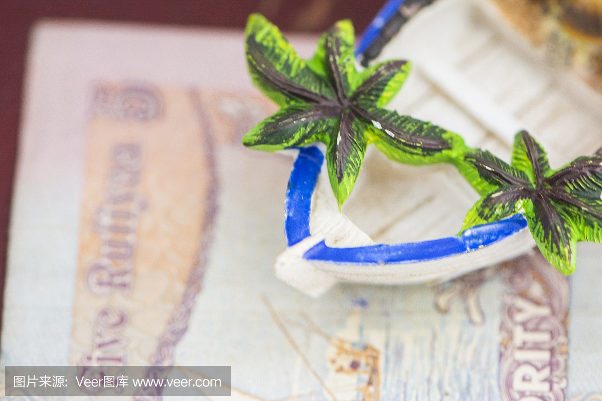 我们去马尔代夫