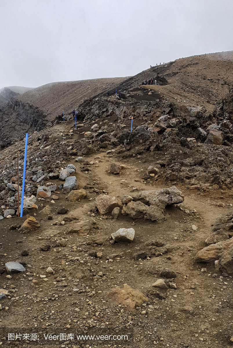 指环王三部曲,单行道,已灭绝生物,停车场