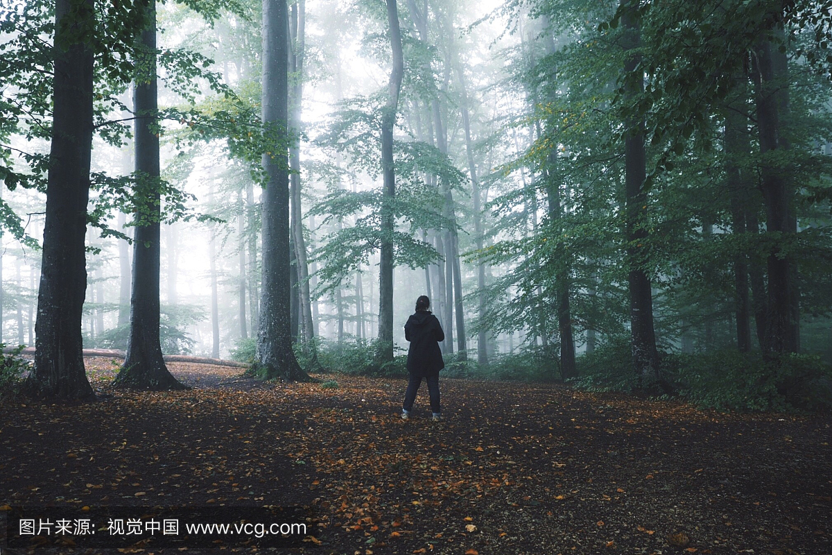 在灰色天气中站在森林里的女人的全长后视图