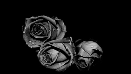 黑色壁纸1920x1080_黑色壁纸全黑_黑色系壁-165kb