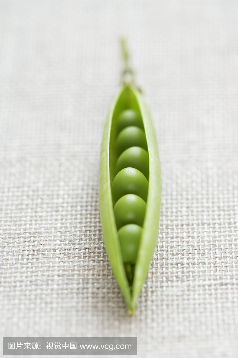 概念,相伴,谚语,一模一样