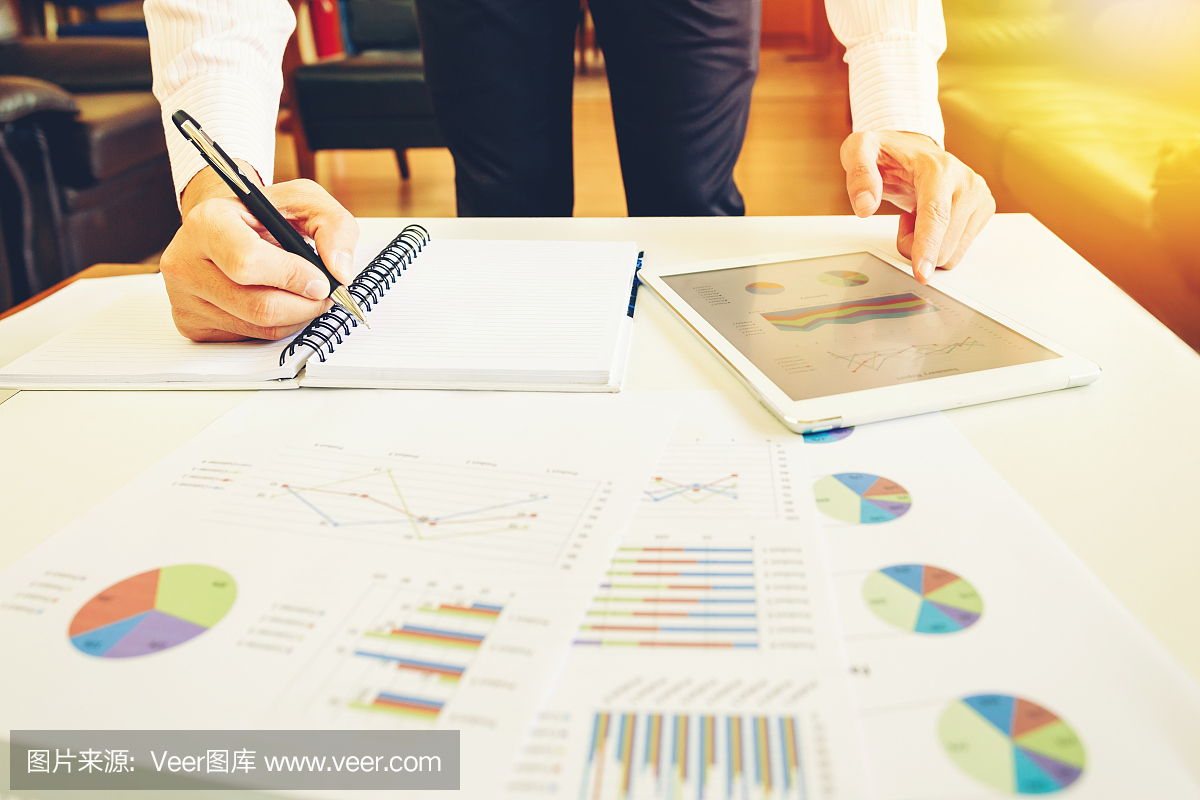商人投资顾问分析公司年度财务报表平衡表与文