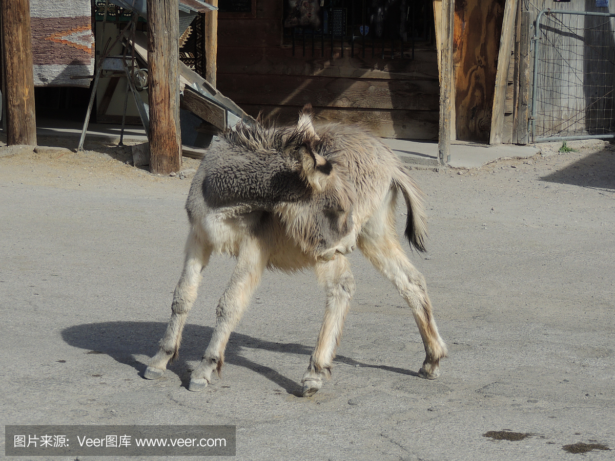 奥特曼镇,奥特曼小镇,美国小镇,美国乡村