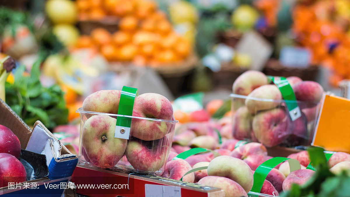 探索苹果节目,豚草属,豚草,豕草