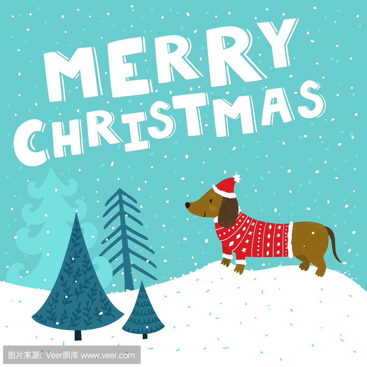 卡与圣诞老人的帽子和针织毛衫可爱的腊肠狗。