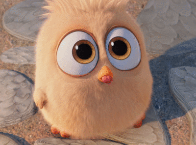 斗图表情包大全动态