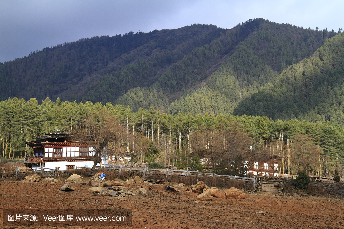 布姆塘,本塘,布塘,不丹