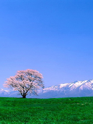 静态图片风景