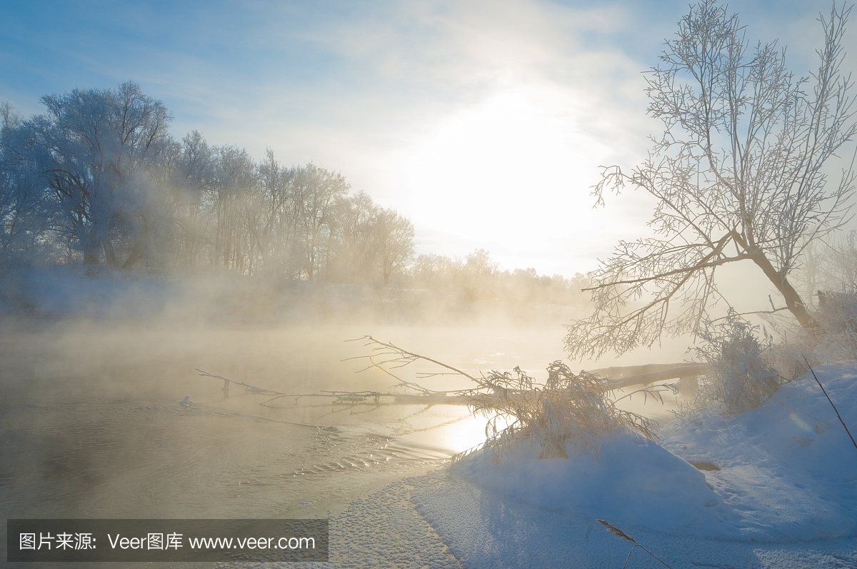 冬季,冬季,冬季,冬眠,一年中最冷的季节,12月至