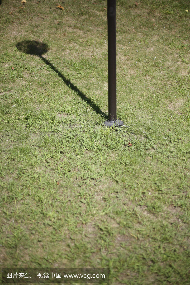 日本,东京大都会,多摩市,阴影在草地上