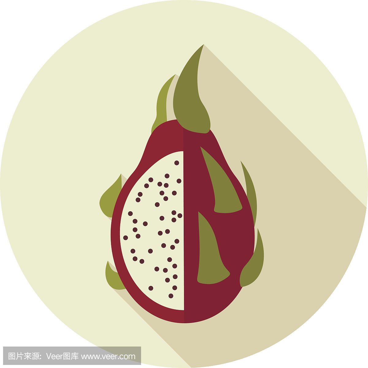 皮塔雅,红龙果仙人掌,无人,绘画插图