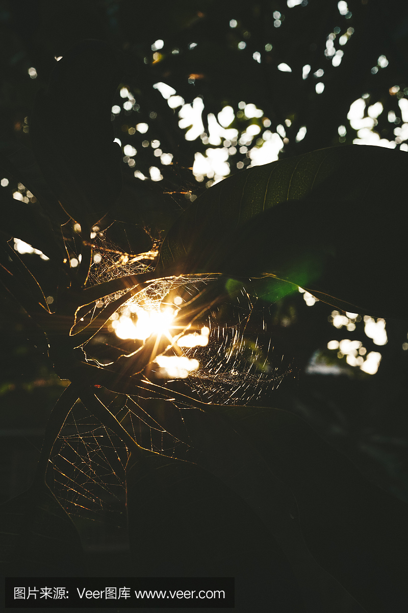 科学实验,简单,逆光,想法