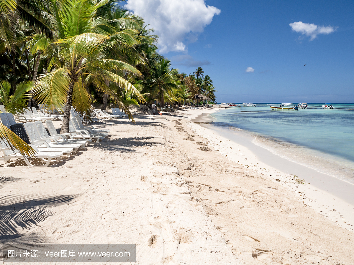 加勒比海地区,度假,热带气候,图像