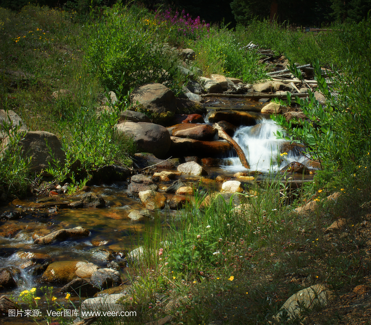 渗出,渗漏,滴出的,渗出的