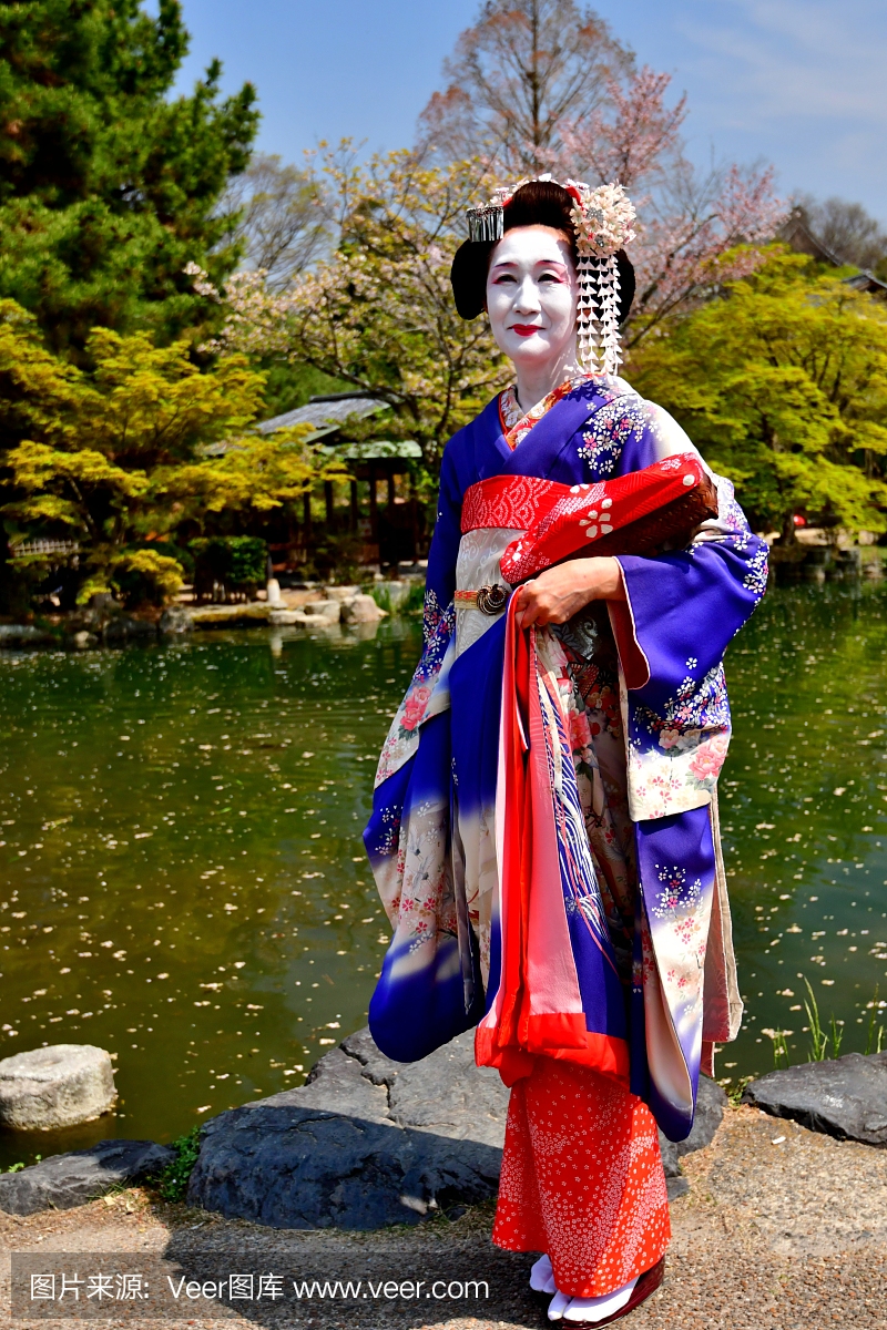 日本女子舞妓的服装和发型享受京都的春天
