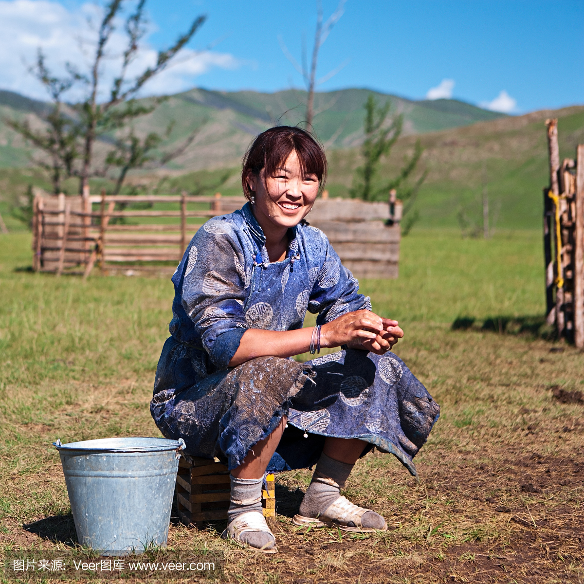 蒙古妇女在全国服装挤奶牦牛