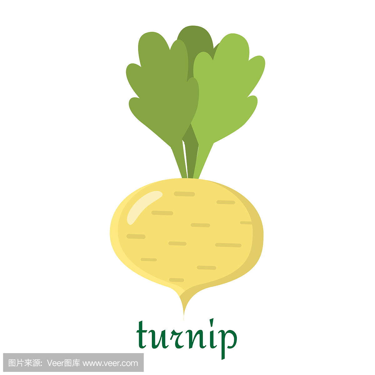 Turnip icon in flat style isolated on white backgr