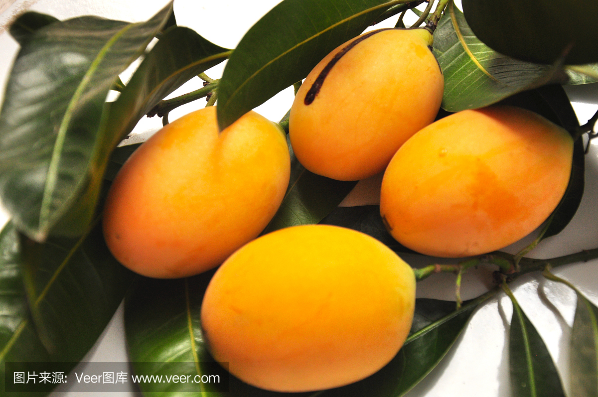 玛丽安梅,甘地,玛丽安芒果,梅花芒果