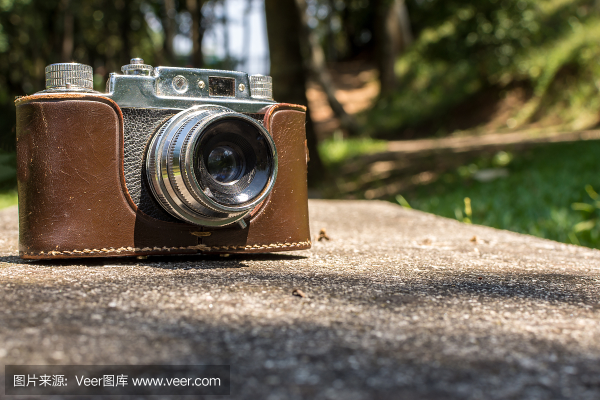 松果,松球,松树种子,模拟设备