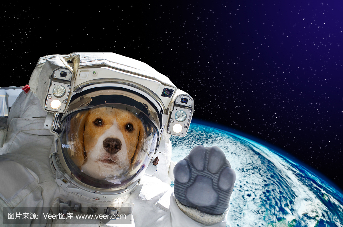 狗太空人在地球背景上的肖像。美国国家航空航