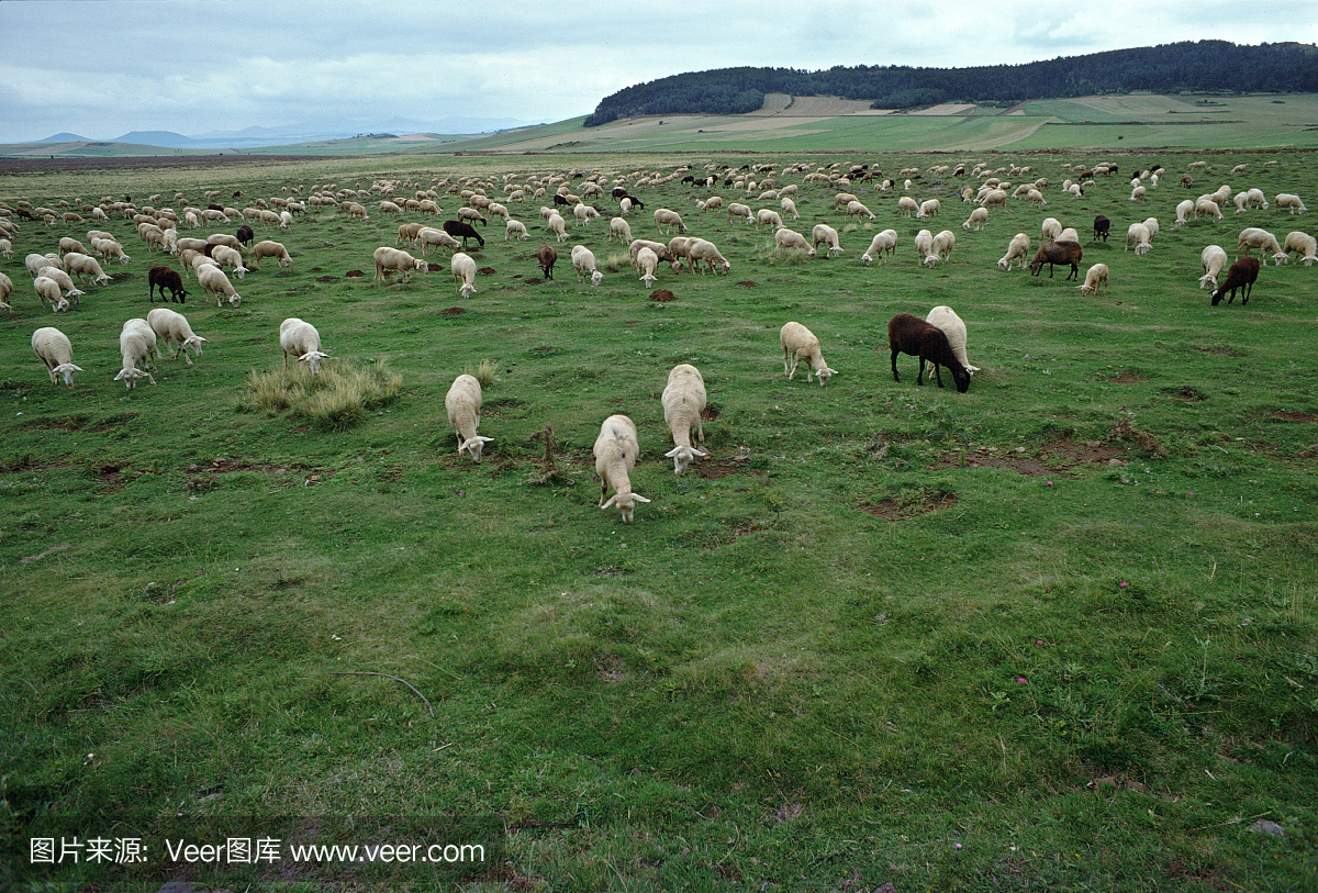 南地大区,南部海岸,新西兰南部,北爱尔兰