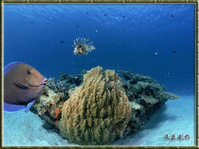 壁纸 桌面 400_300 gif 动态图 动图