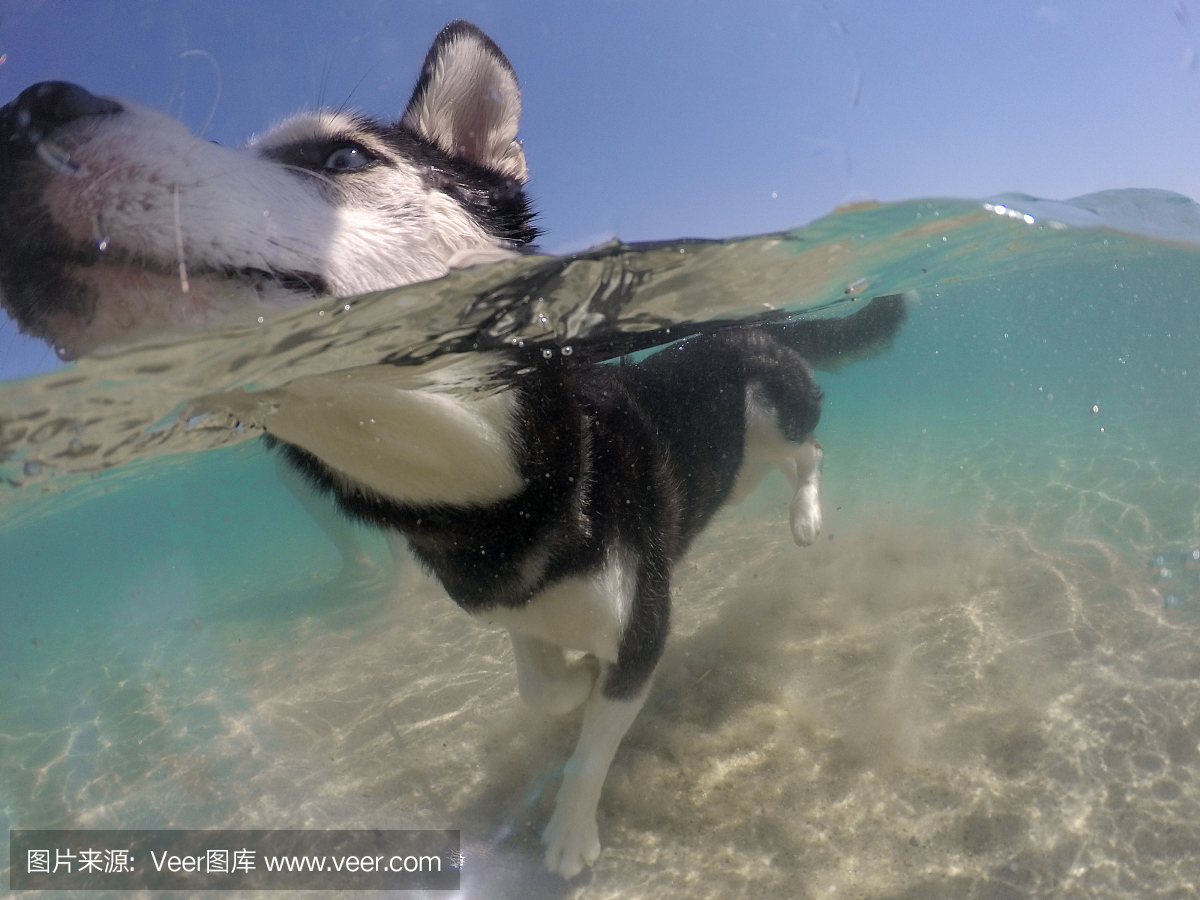 保持你的头在水面上