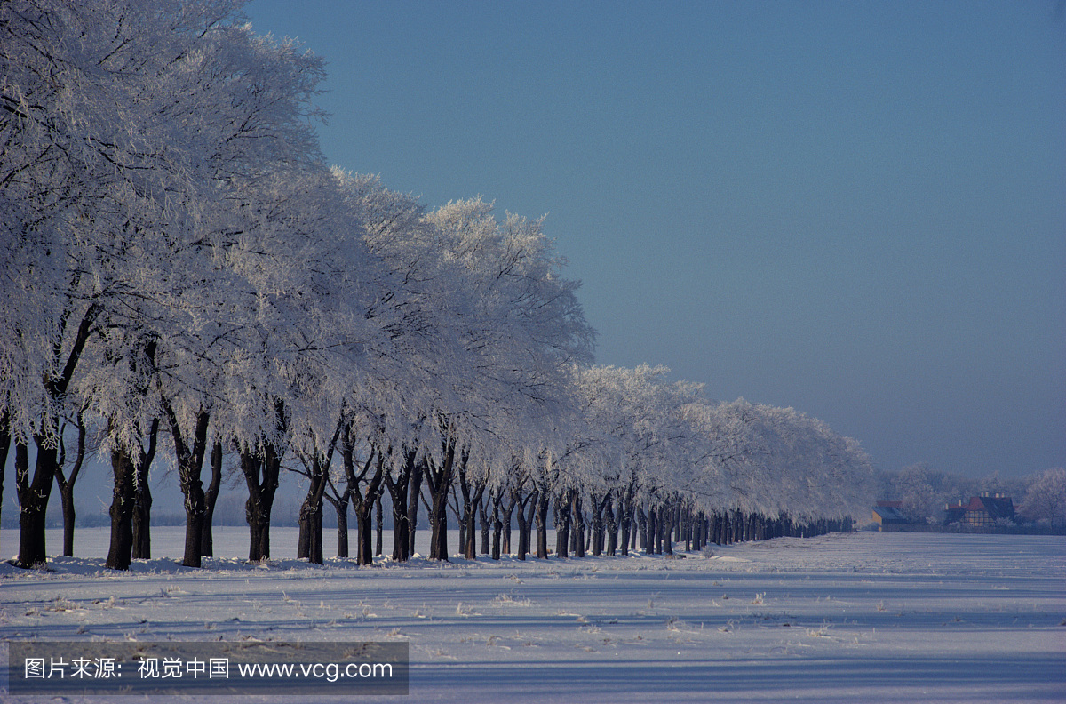 欧登塞附近的冬季风景,汉斯·克里斯蒂安·安