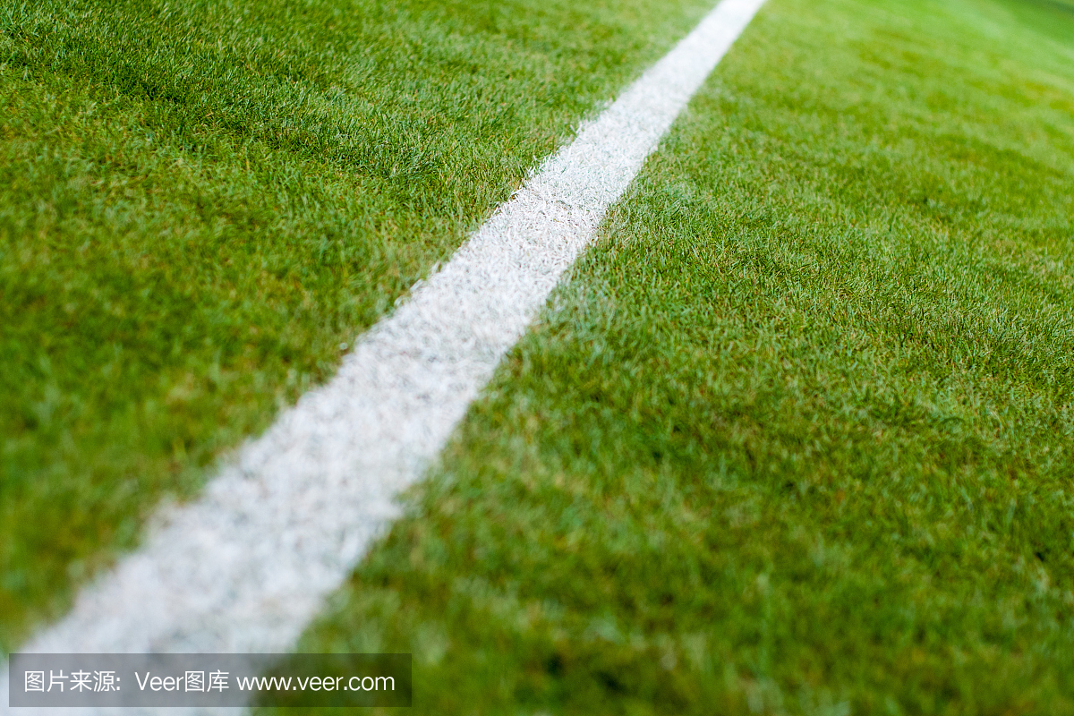足球场白线