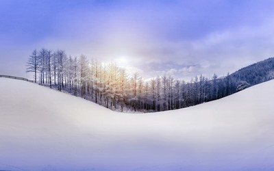 唯美雪景高清宽屏桌面壁纸-风景壁纸-315kb