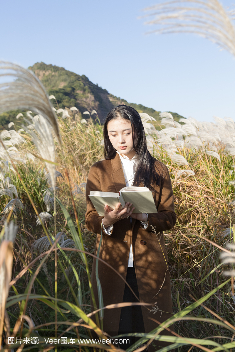 有吸引力的女人在芦苇植物阅读书籍