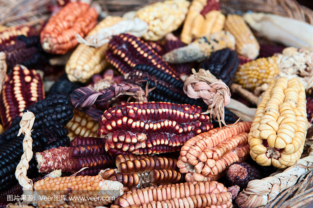玉米(玉米)出售,Pisac市场,秘鲁