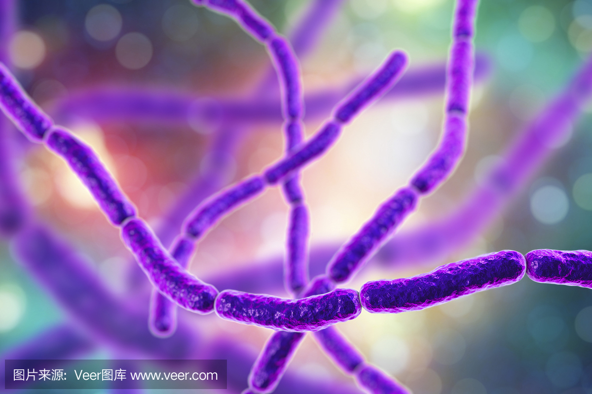 革兰氏染色剂,革兰氏染色阴性,革兰氏染色法,革兰氏染色体