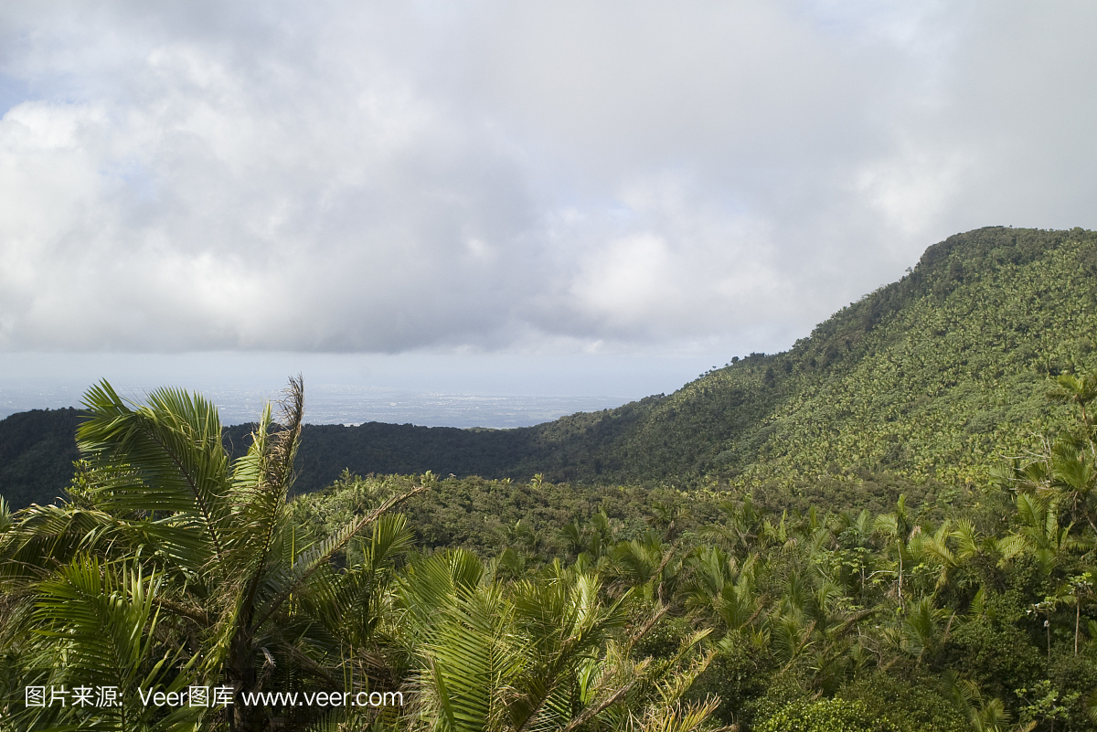 加勒比海国家森林,El Yunque Rainforest,云雀雨